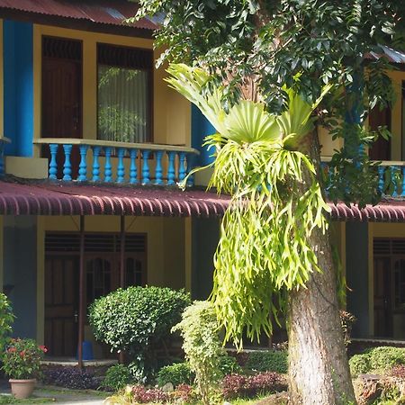 Wisma Leuser Sibayak Bukit Lawang Eksteriør bilde